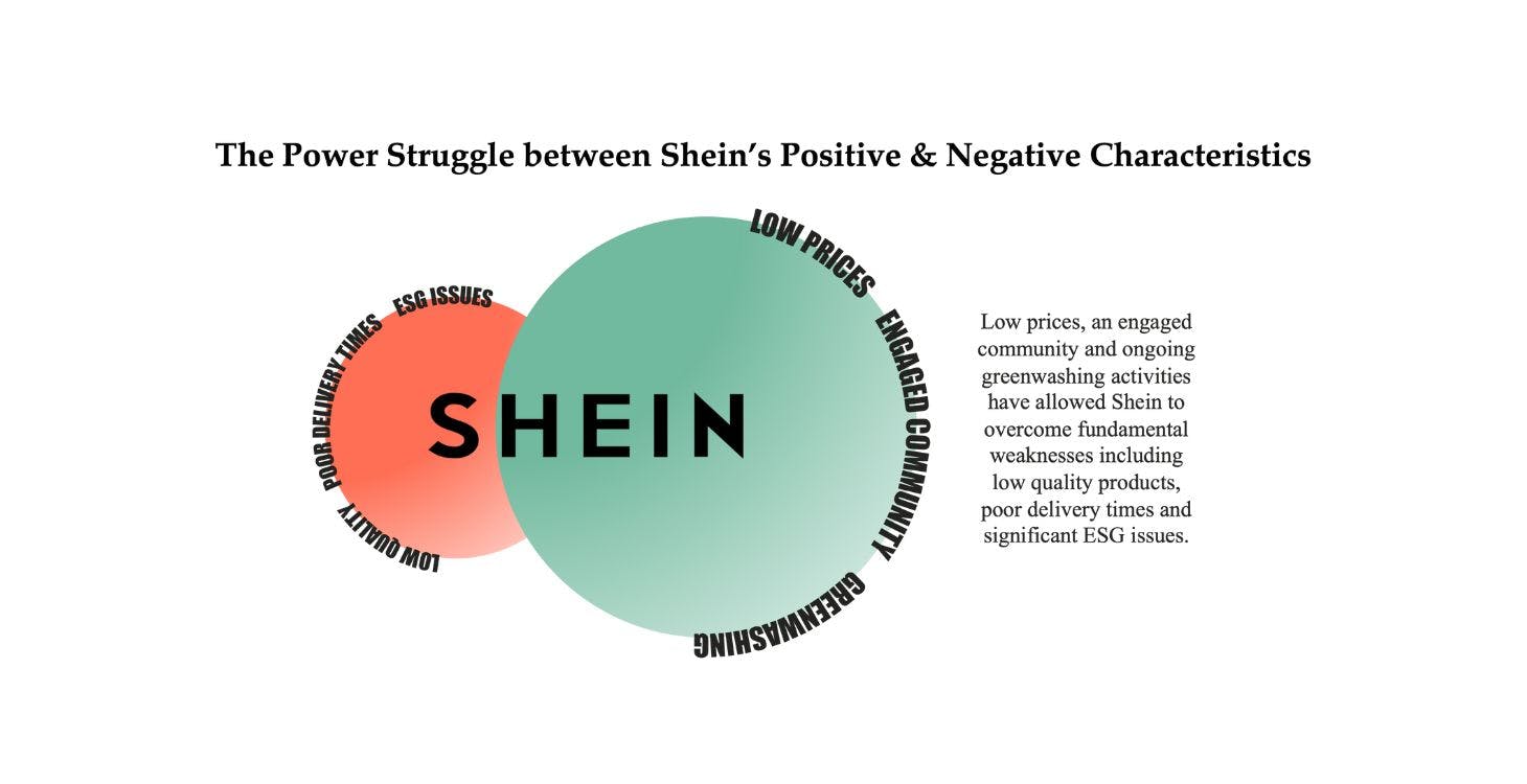 The Power Struggle between Shein’s Positive & Negative Characteristics
