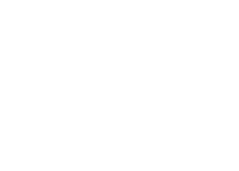 Inde Wild